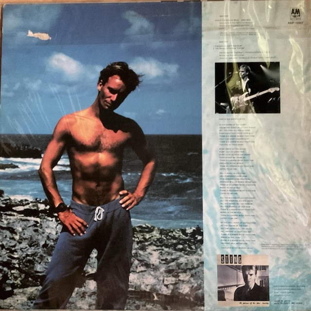 STING / LOVE IS THE SEVENTH WAVE  CD/DVD/rfI 