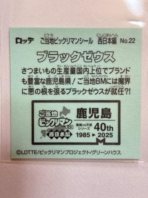 nrbN}{ҁNo.22 ubN[EX  zr[ 