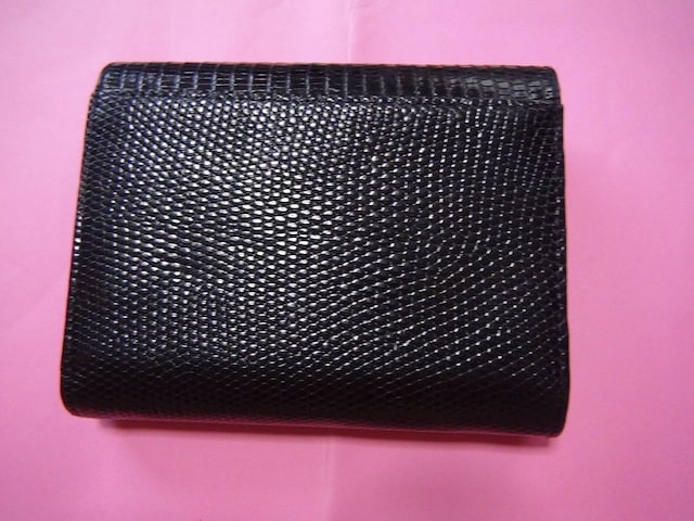 GENUINE LIZARD SKIN̂Rc܍z@!B  t@bV 