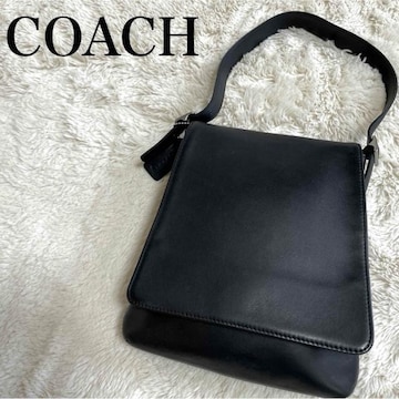 i COACH I[hR[` V_[obO tbv  USA