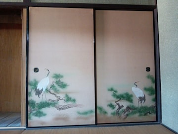 Rare sliding doors  i 󏭉