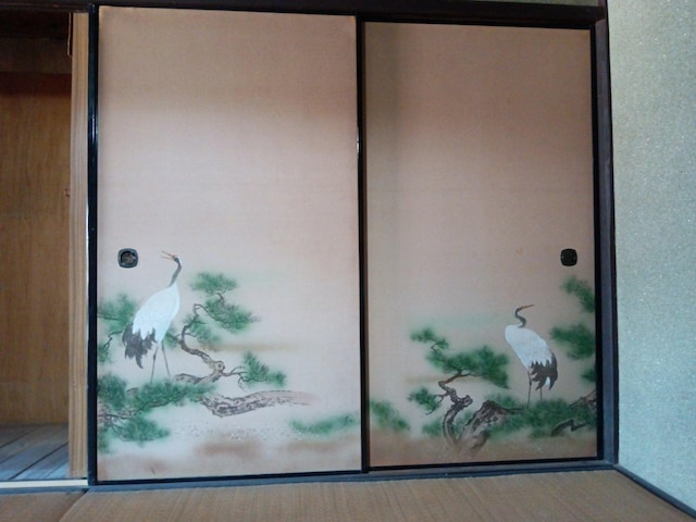 Rare sliding doors  i 󏭉  CeA/Ct 