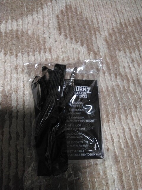 BREAKERZ  MTCIWipX  RETURNZ  񔄕i  ^gObY 