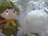 ムーミン ぬいぐるみM スナフキン ムーミン谷のなかまたち 人形