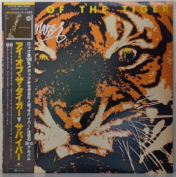 LP(ѕt)ToCo[ (Survivor) /ACEIuEUE^CK[ (Eye of the Tiger)070728