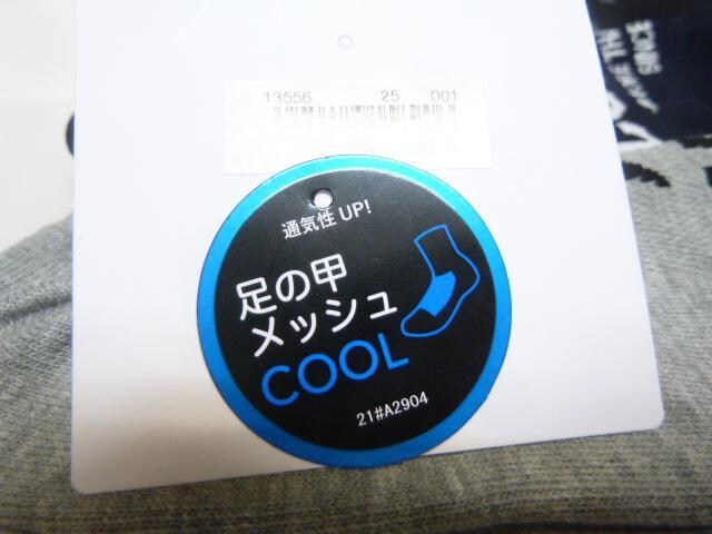 Xj3Pj25-27cmjDj Ro[XC AN\bNX 13556 ̍bbV ȍ  jt@bV 