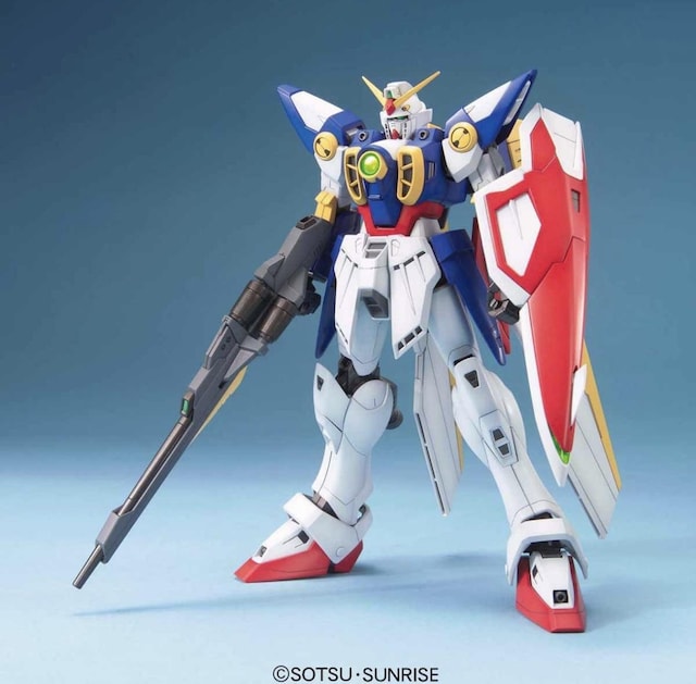 MG 1/100 ECOK_  zr[ 