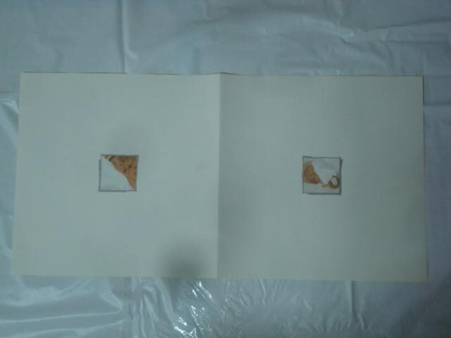 E|[iLe Portj / ŖbiMEGUMI SHINAj ѕtLP  CD/DVD/rfI 