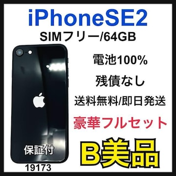 B 100% iPhone SE2 64 GB SIMt[ ubN {