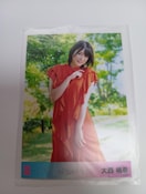 吼@AKB48@ACh@ʐ^@Vi@gp@󏭕i@荢@