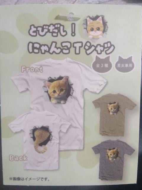 Ƃт!ɂTVc@O[@2XL   t@bV 