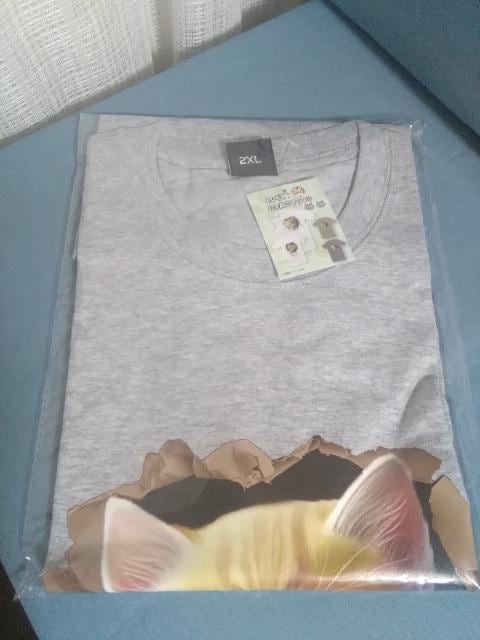 Ƃт!ɂTVc@O[@2XL  t@bV 