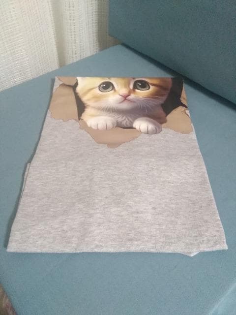 Ƃт!ɂTVc@O[@2XL  t@bV 
