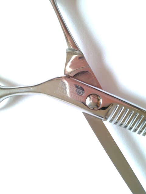 et ZjOVU[ MIZUTANI SCISSORS 6C` 25  /RX/lC 