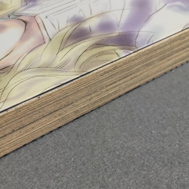 ͉pY`|pY̏ё P  cF  Aj/R~bN/LN^[ 