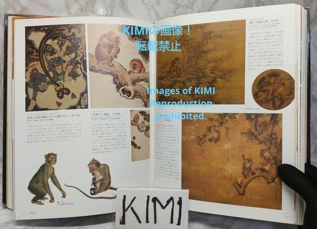 ]˂̔W Ps{ 2020/5/26 씎K (ďC)  {/G 