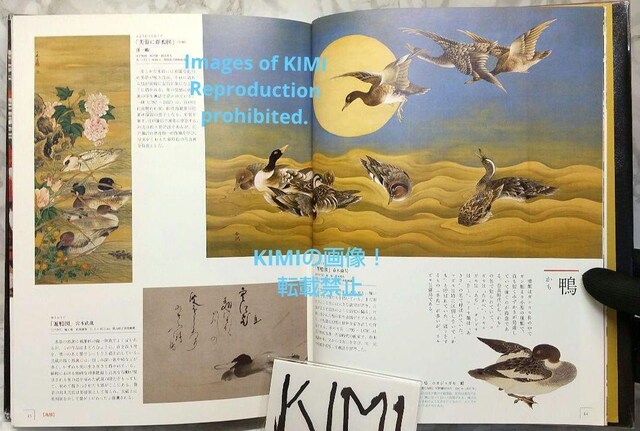 ]˂̔W Ps{ 2020/5/26 씎K (ďC)  {/G 