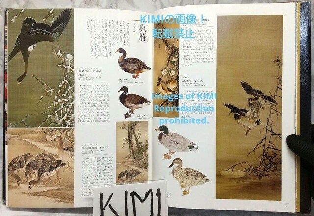 ]˂̔W Ps{ 2020/5/26 씎K (ďC)  {/G 