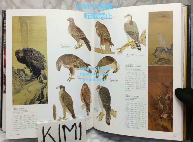 ]˂̔W Ps{ 2020/5/26 씎K (ďC)  {/G 