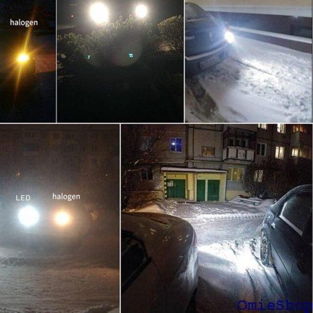 S25 _u 1157 BAY15D P21/5W ED Cg 10Zbg zCg woCNgpsx 604  /oCN