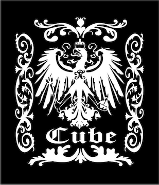CUBEEL[uޖ̓IWiXebJ[