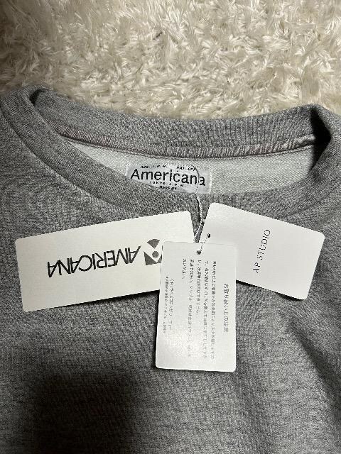 1.6Vi^OtAmericanaRbgACvI[o[