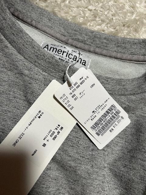 1.6Vi^OtAmericanaRbgACvI[o[