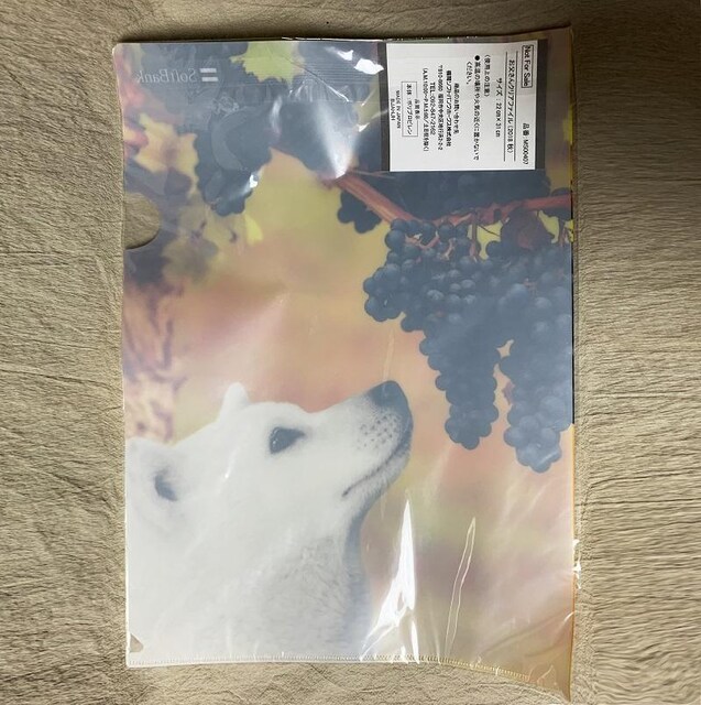 񔄕i SoftBank  H NAt@C   A4  CeA/Ct 