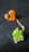 ポケットモンスター ヒトカゲ チェーン付 クリップ 非売品★