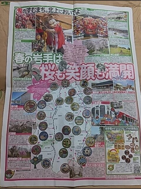 2025N42@TX|@ʍO@茧@|P@Pokemon  zr[ 