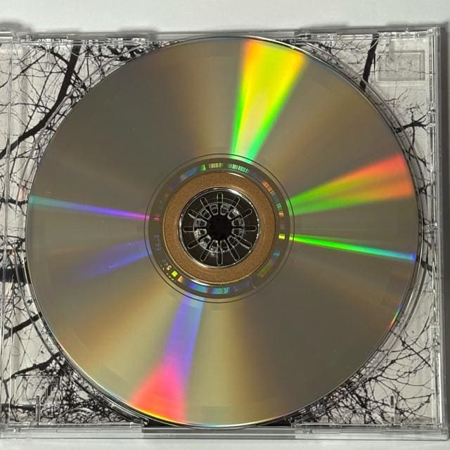 STING / Mercury Falling  CD/DVD/rfI 
