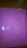 SPURt^@TI@LN^[@XC_[P[X