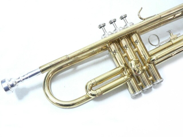JUPITER gybgEJTR-300  zr[ 