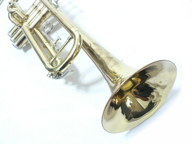 JUPITER gybgEJTR-300  zr[ 