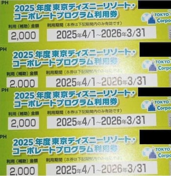 yIz8000~ 2025Nx fBYj[][gR[|[gvOp 2000~~4