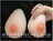■独り占め■シリコンバスト600g■人工乳房性転換バストアップ