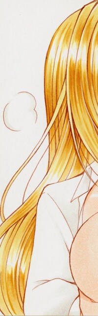 eBA[ToLOVE鎩CXgj