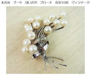500~X^{^@u[P@SILVER@u[`@^15@Be[Wi4j