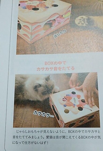 ˂̂ӂ낭/炵BOX