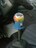 VtgmuK`K`^M12~P1.25lC