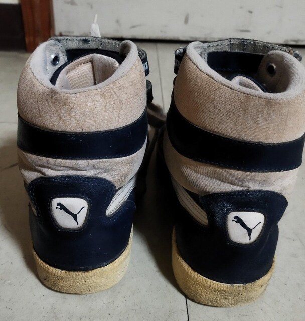 re[W@PUMA SKY lCr[ nCJbgXj[J[@25cm  uh 