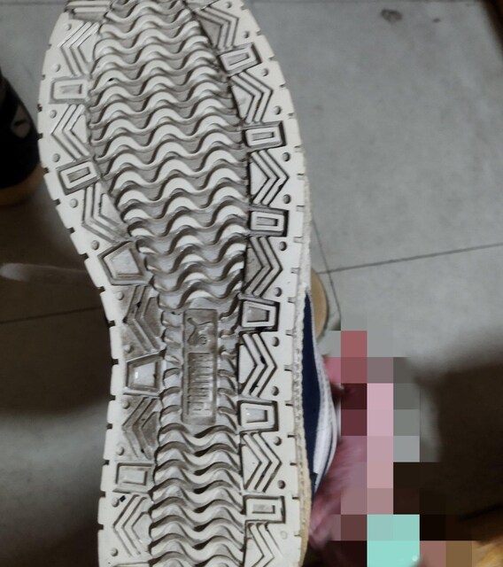 re[W@PUMA SKY lCr[ nCJbgXj[J[@25cm  uh 