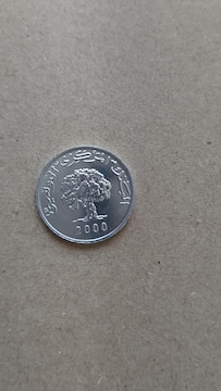 2000Ñ`jWA