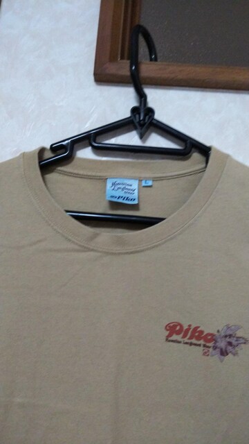 PiKO TVcwLx