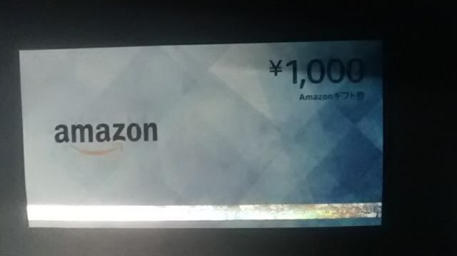 AmazonMtgJ[h1000~1Vigpi 