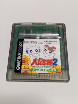 GBC ƂƂnY2