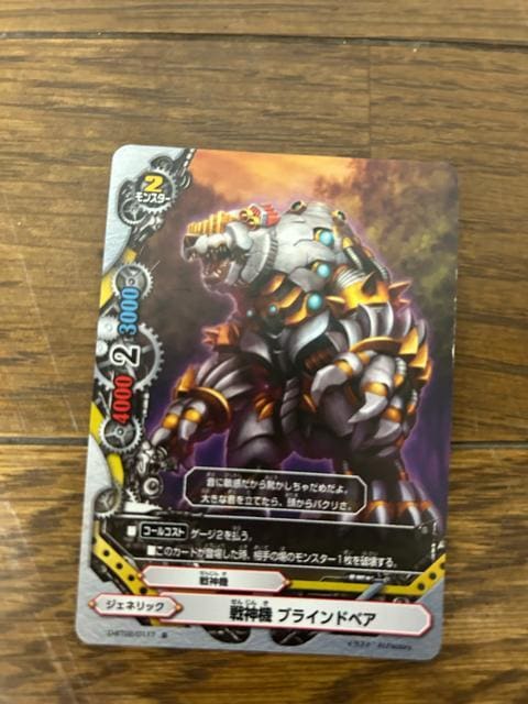 FUTURE CARD BUDDYFIGH _@@uChxAJ[h   g[fBOJ[h 