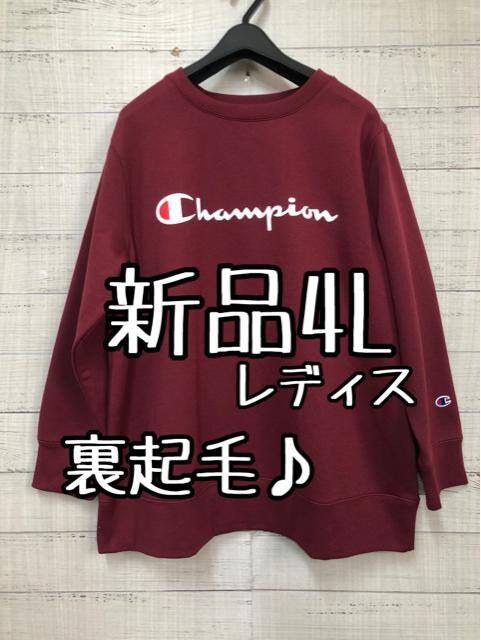 Vi4Lo[KfB`sIChampionNуg[i[t109 