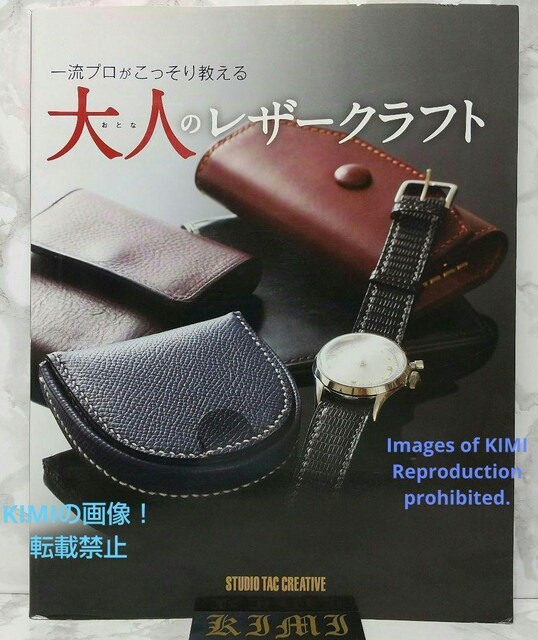 l̃U[Ntg ꗬv苳 Professional Series Ps{ 2013 X^WI ^bN NG   {/G 