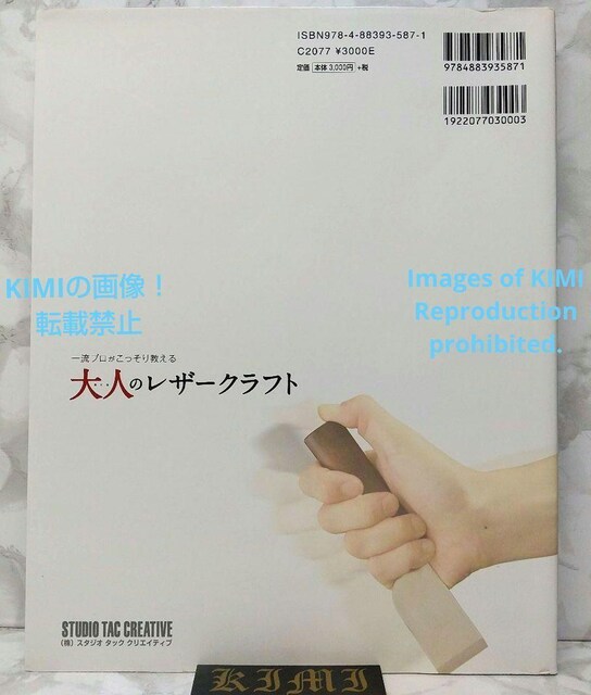 l̃U[Ntg ꗬv苳 Professional Series Ps{ 2013 X^WI ^bN NG  {/G 